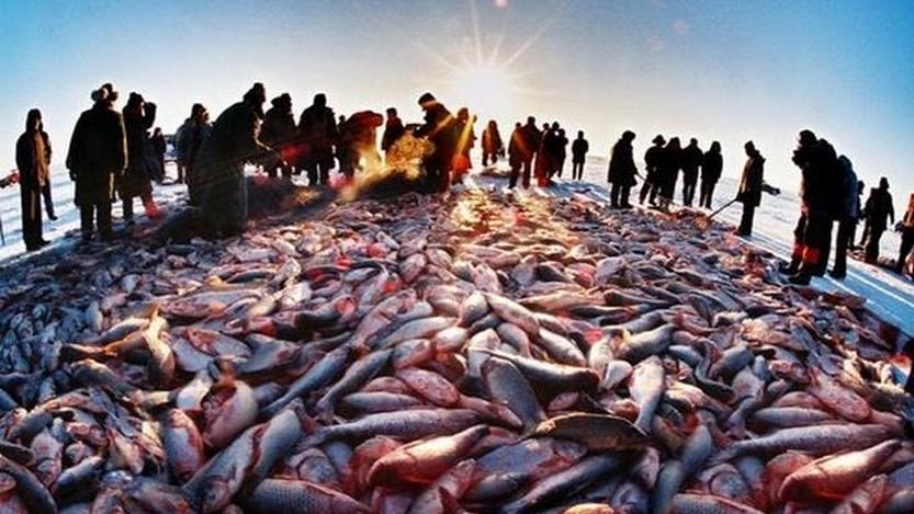 Lee más sobre el artículo Cavedrepa reporta un “repunte” en la actividad pesquera