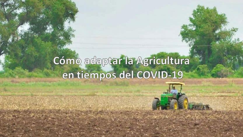 En este momento estás viendo Cómo adaptar la Agricultura en tiempos del COVID 19
